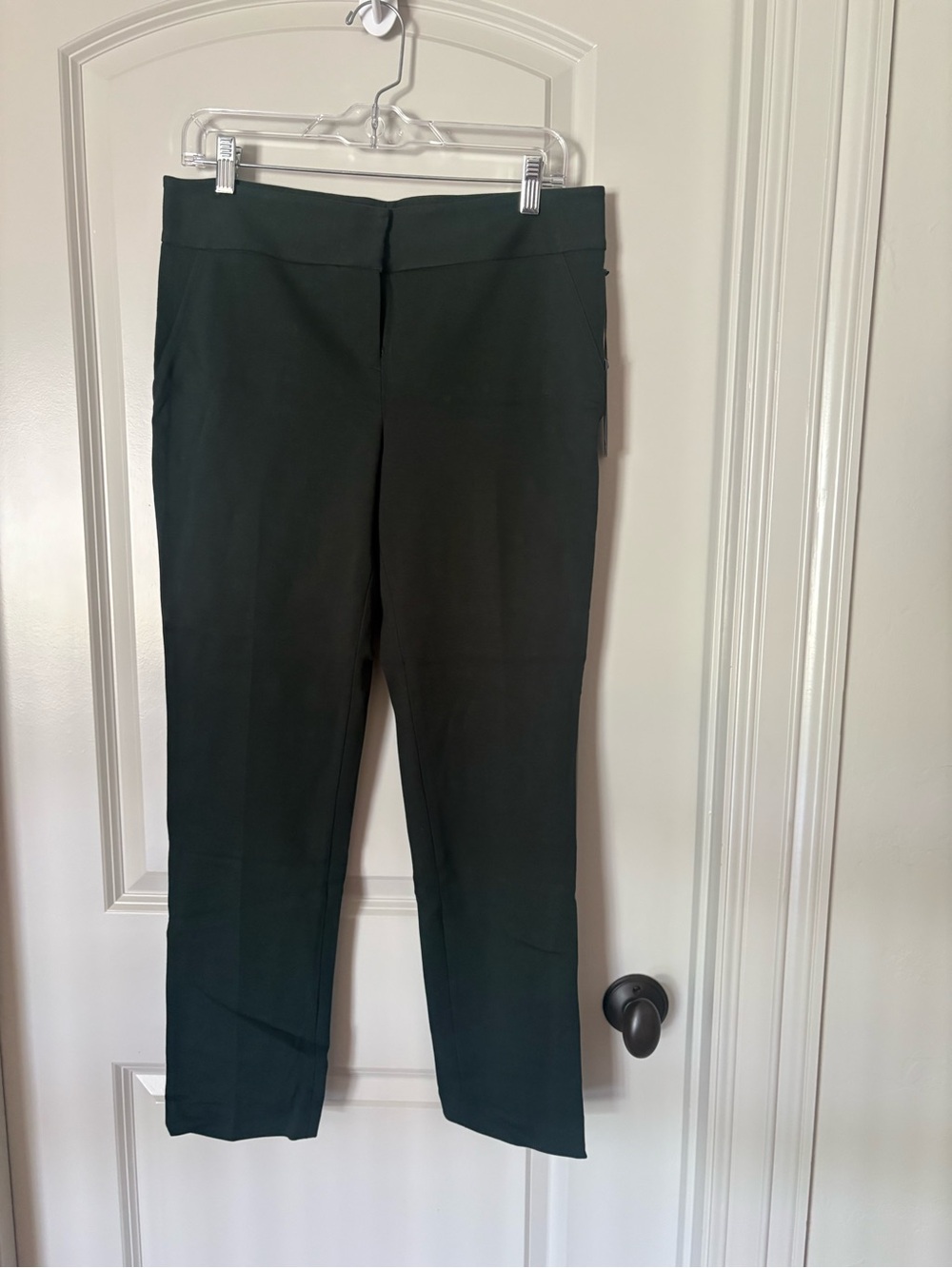 NWT Sz 8P Vince Camuto Dark Green Straight Leg Tailored Pants